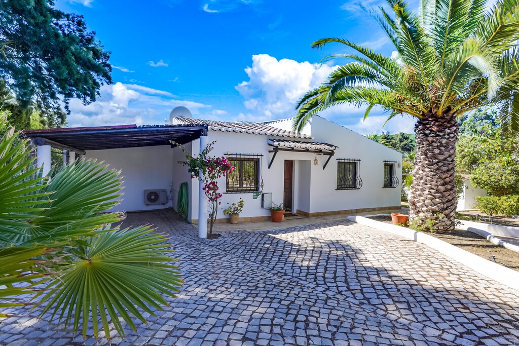 Mimosa - Carvoeiro