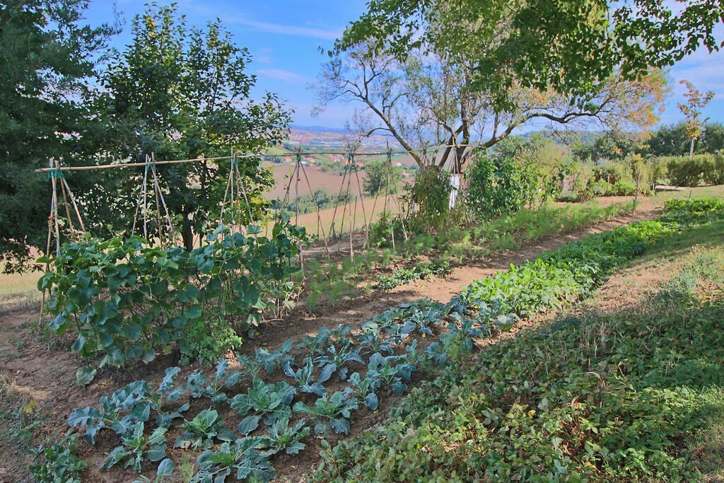 Picture of property.name