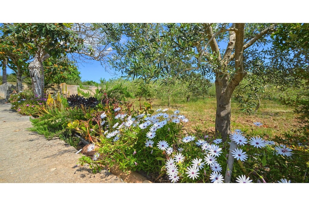 Picture of property.name