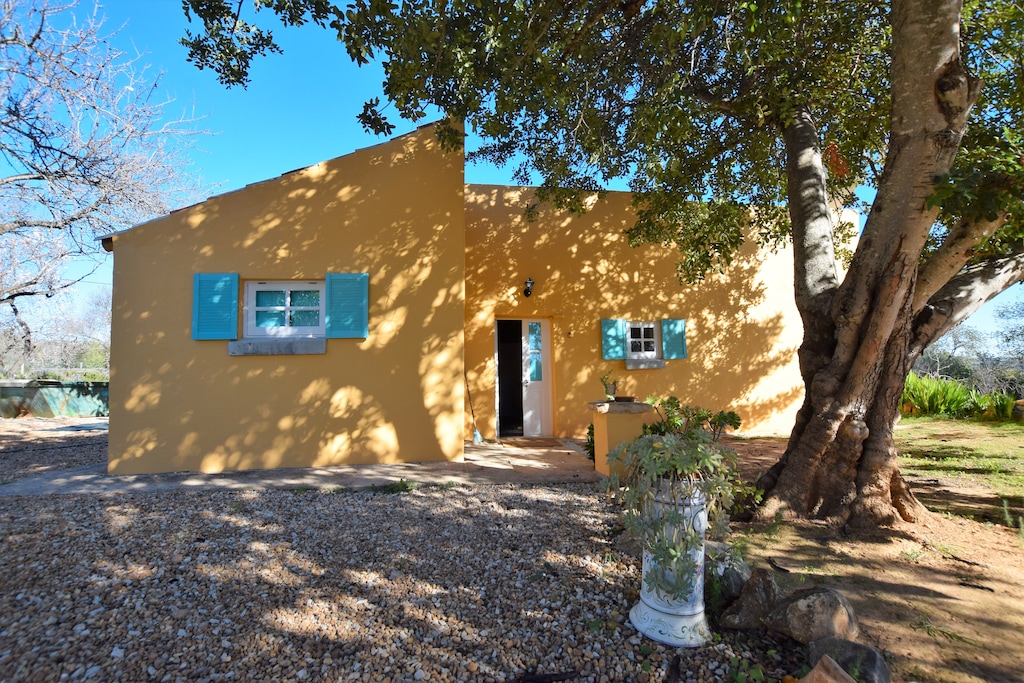 Picture of property.name