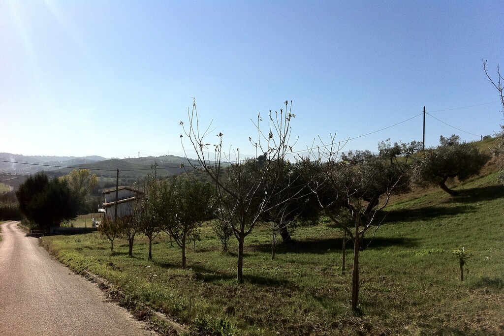 Picture of property.name