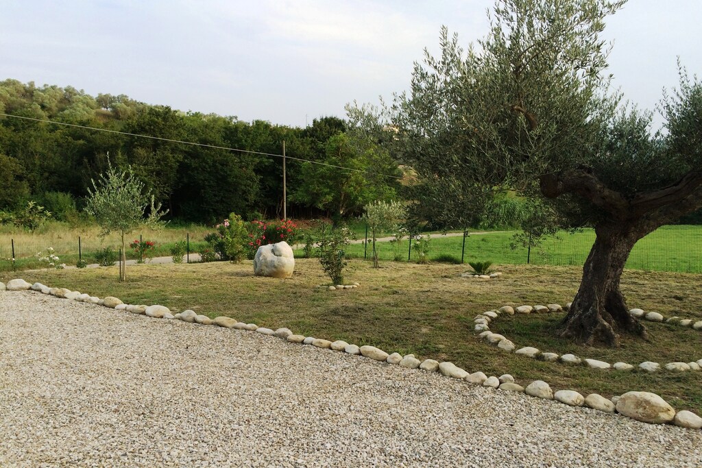 Picture of property.name