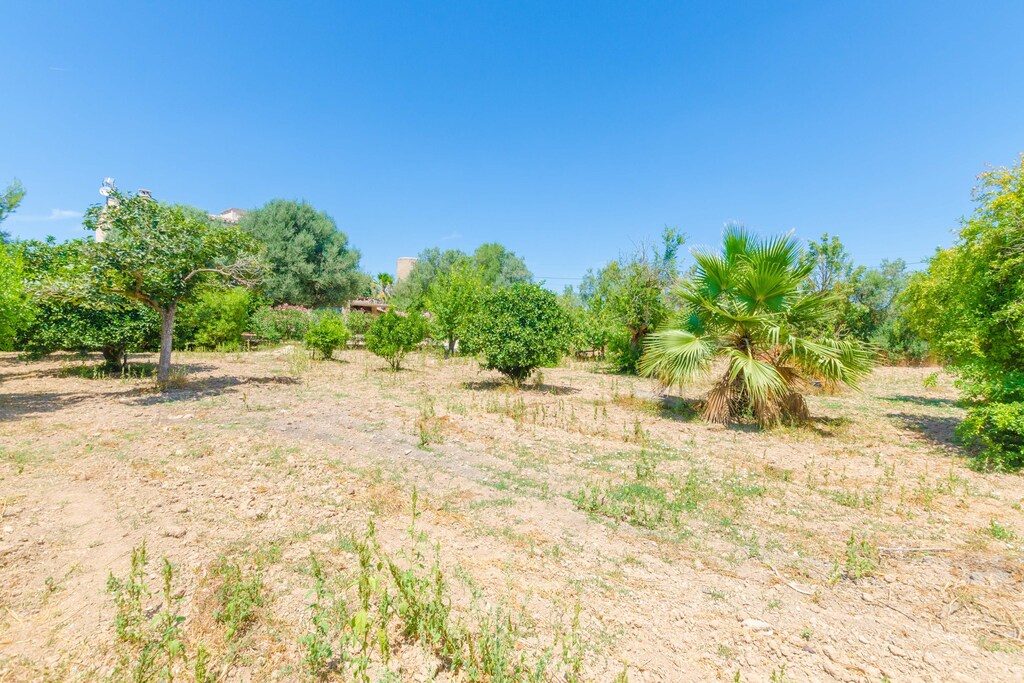 Picture of property.name