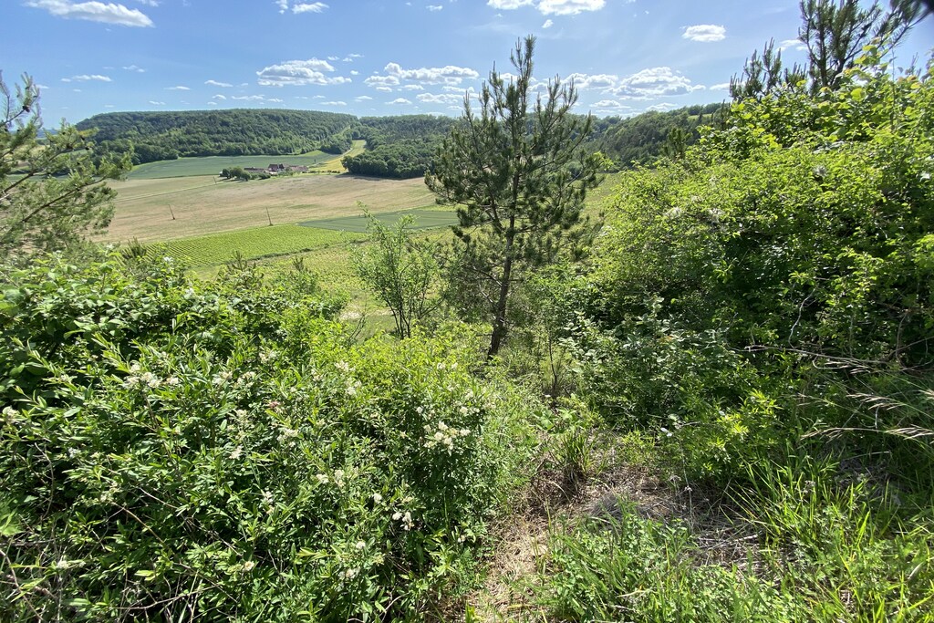 Picture of property.name
