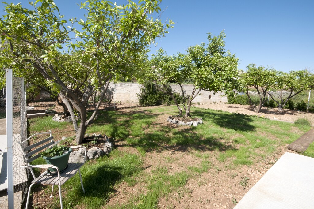 Picture of property.name