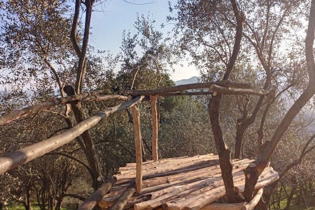 Picture of property.name