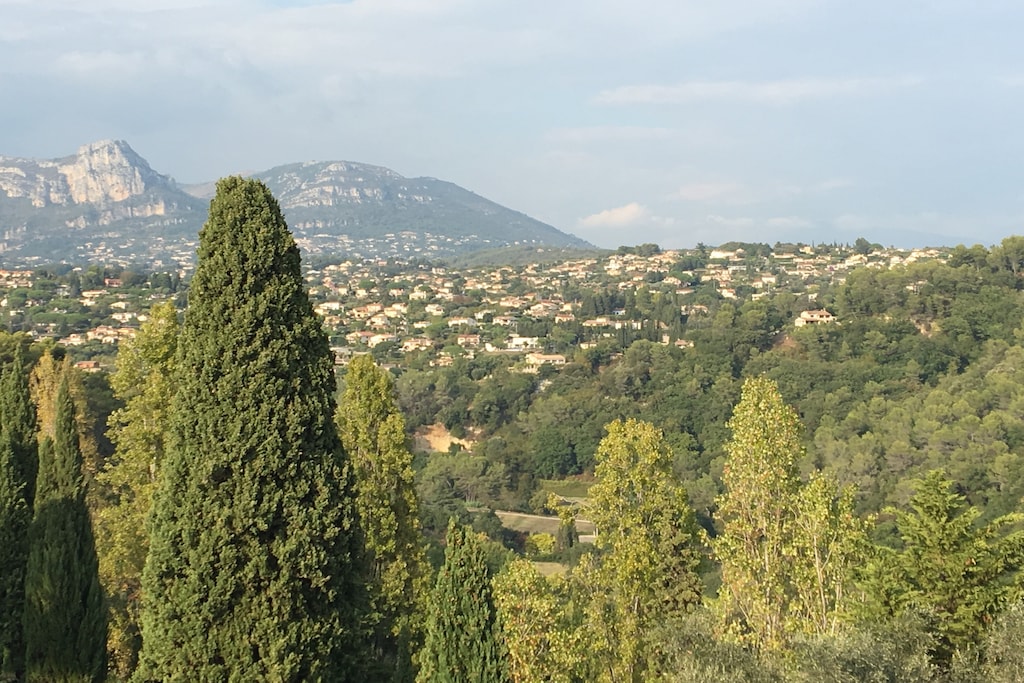 Picture of property.name