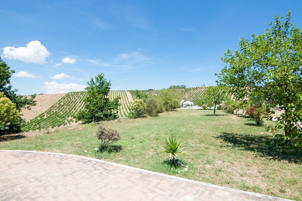 Picture of property.name