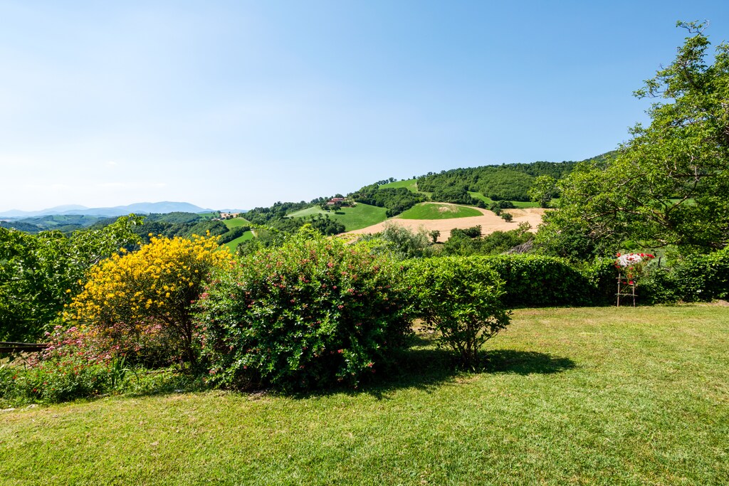 Picture of property.name