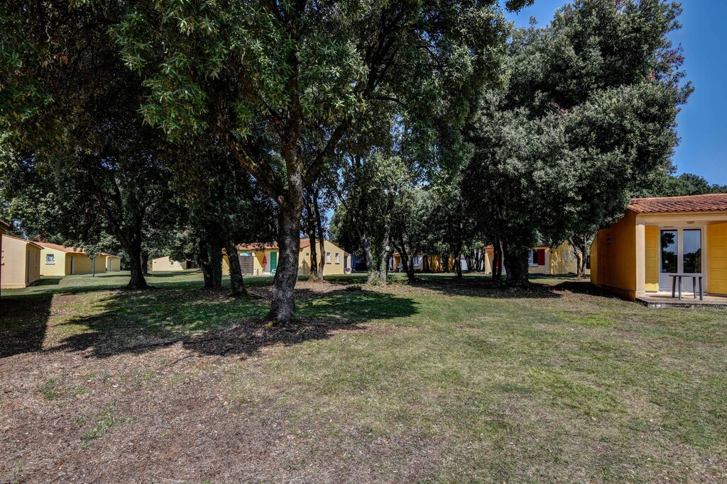 Picture of property.name