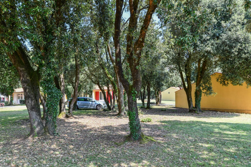 Picture of property.name