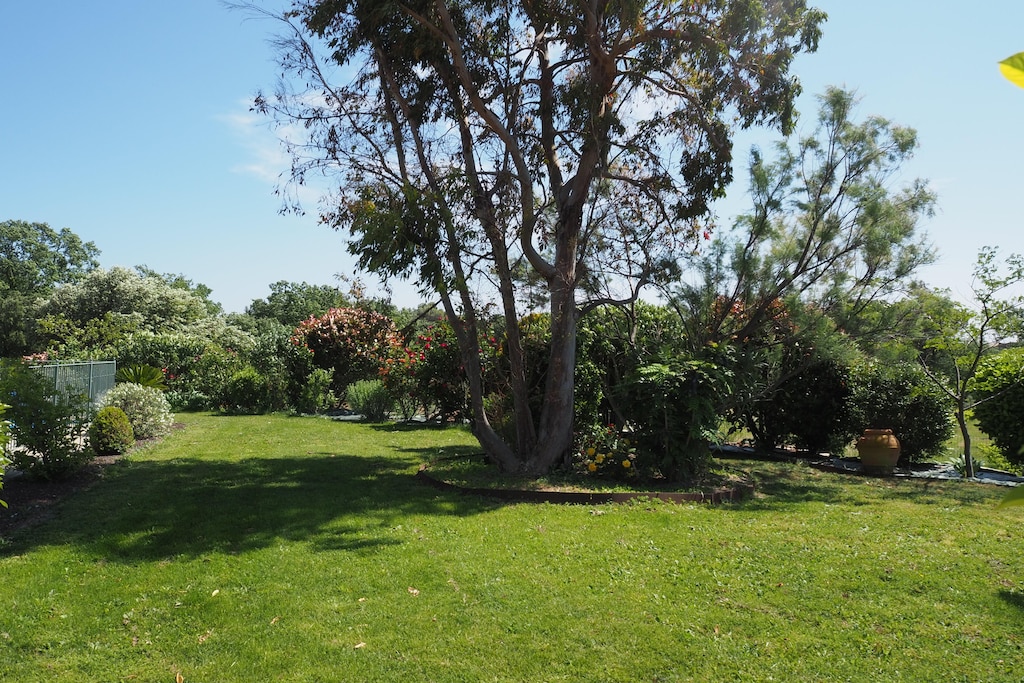Picture of property.name