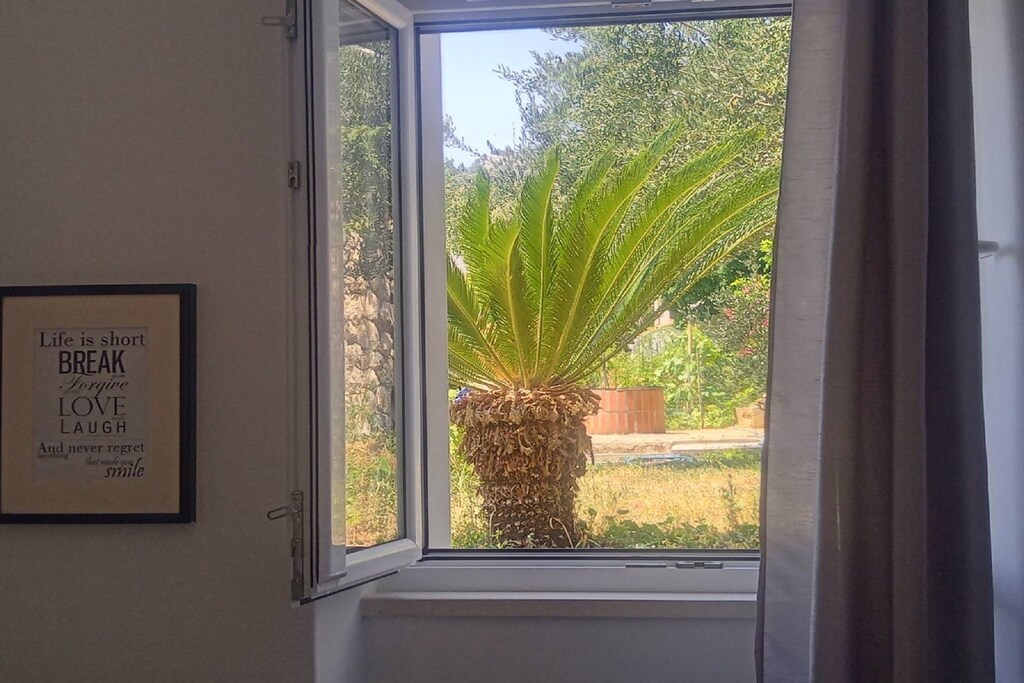 Picture of property.name