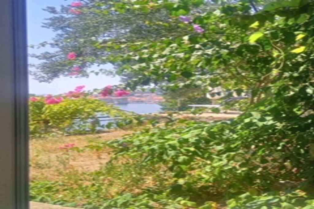 Picture of property.name