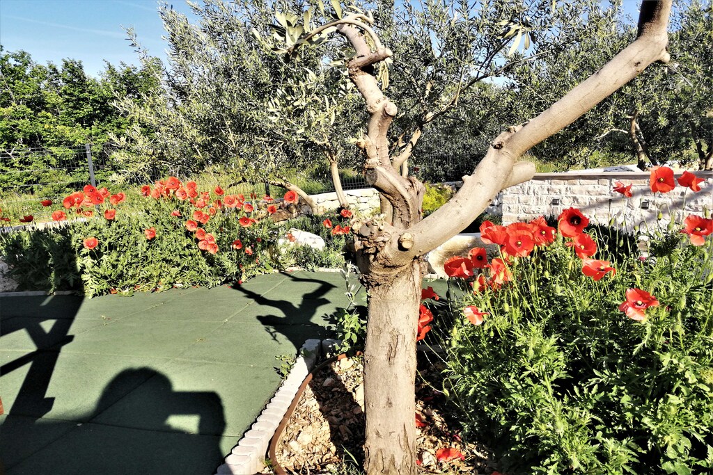 Picture of property.name