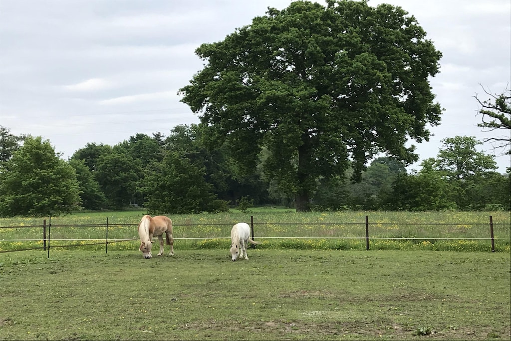 Luxe Villa Met Verwarmd Zwembad In De Serene Kempen Boerderijvakanties Nl