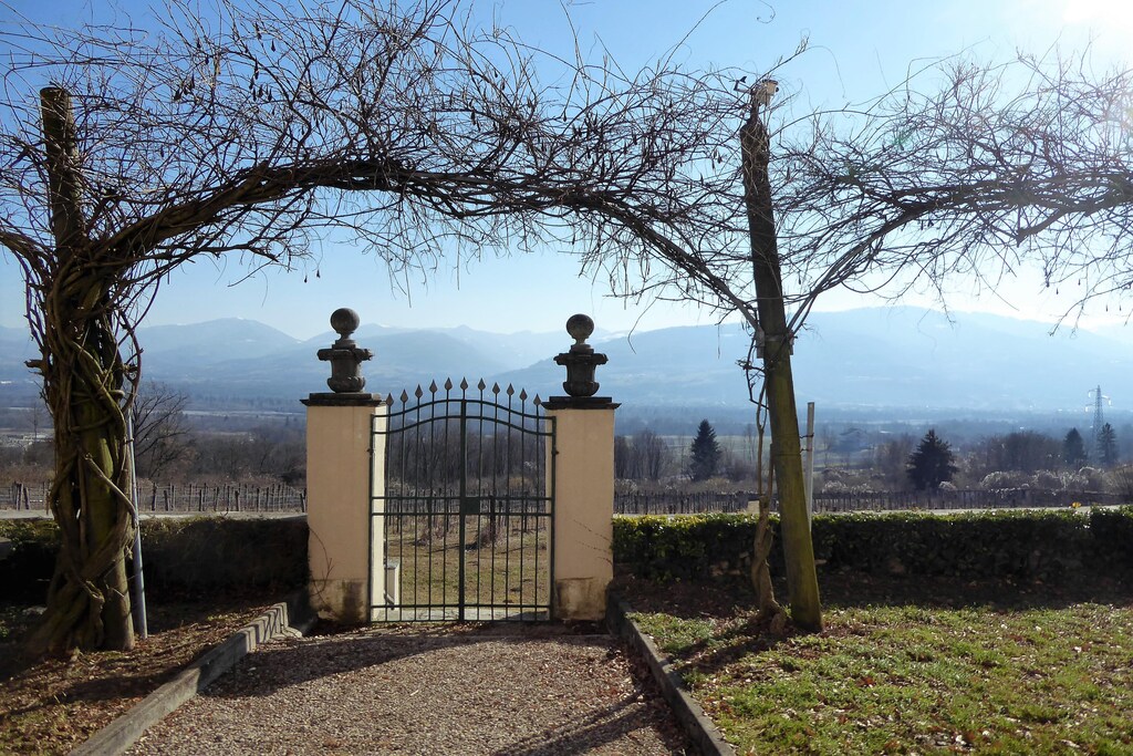 Picture of property.name