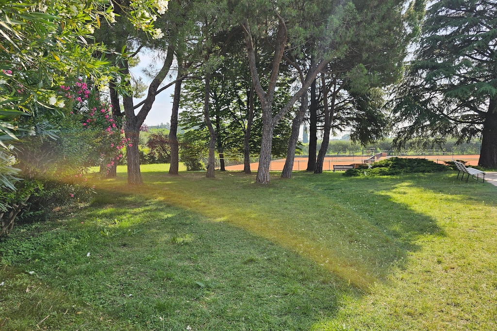 Picture of property.name