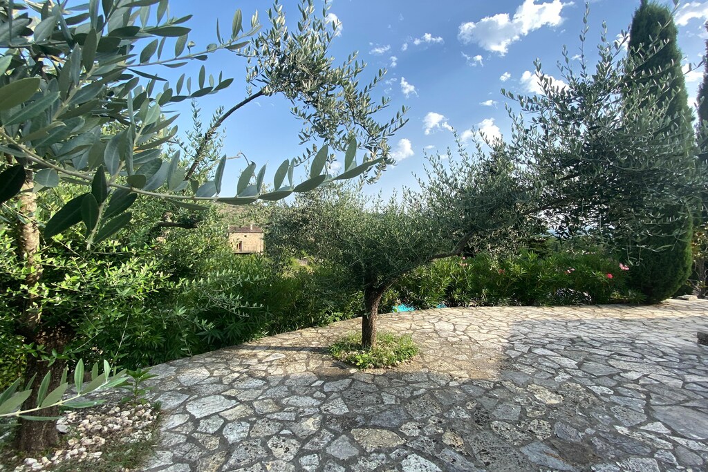 Picture of property.name