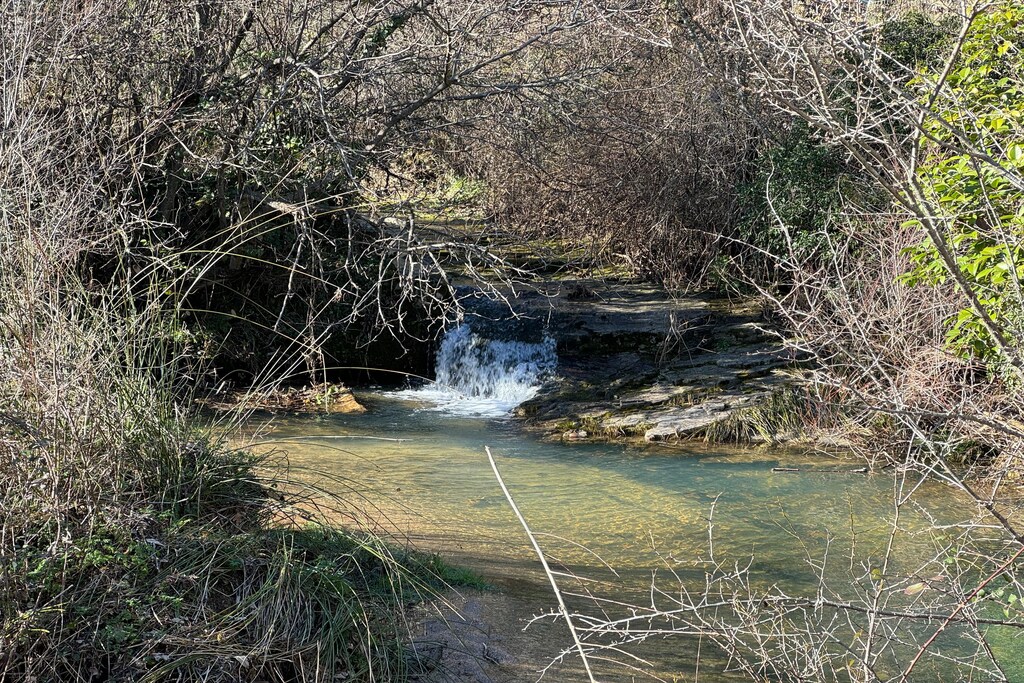 Picture of property.name