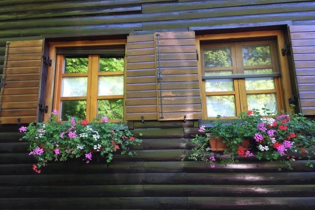 Picture of property.name