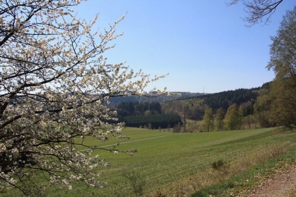 Picture of property.name
