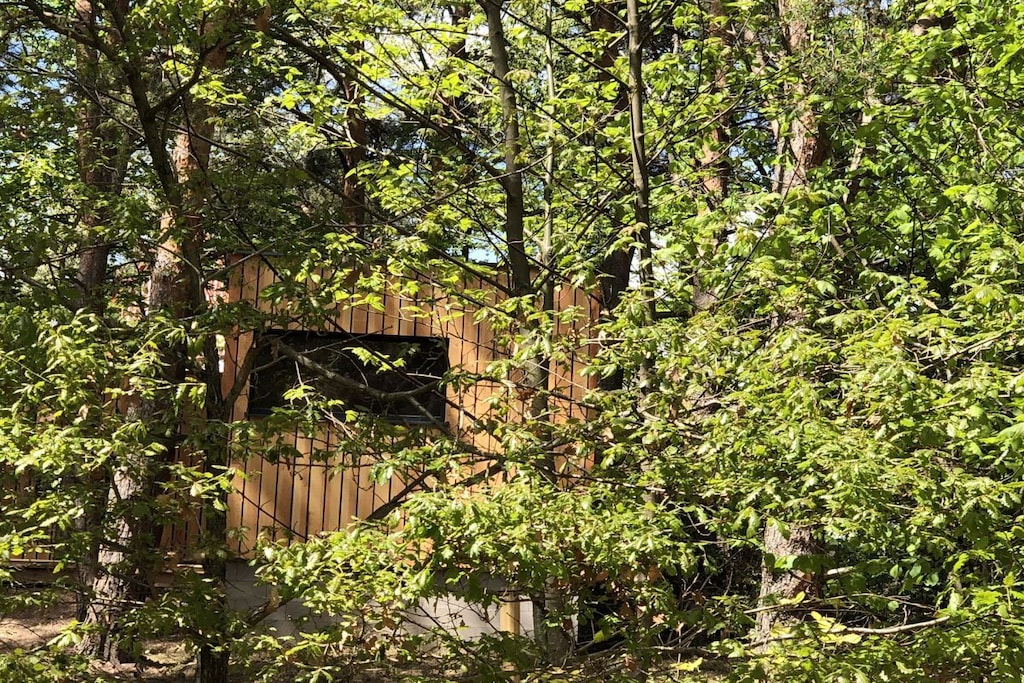 Picture of property.name
