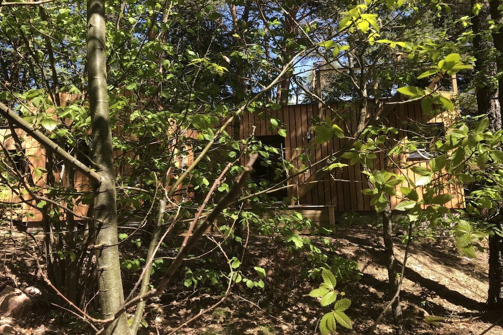Picture of property.name