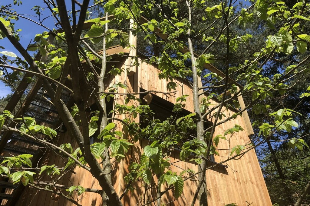 Picture of property.name