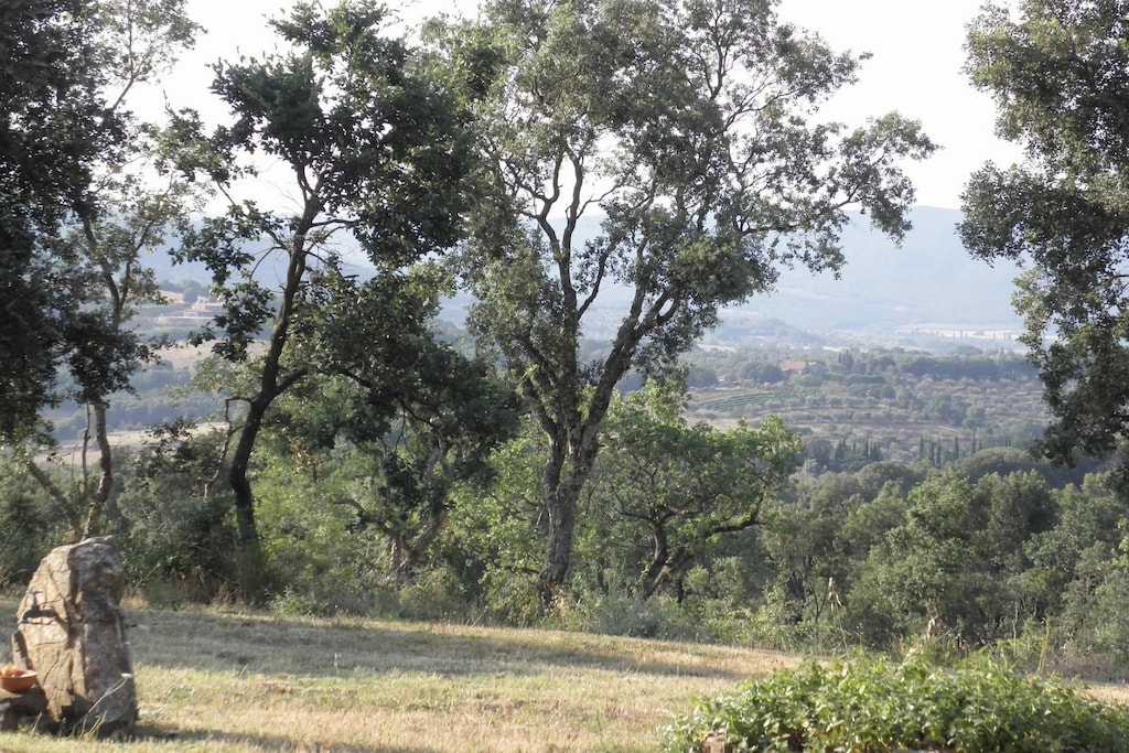 Picture of property.name