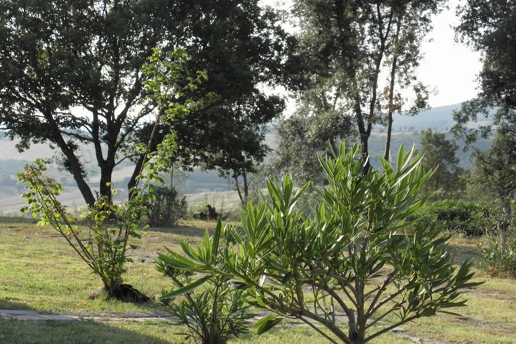 Picture of property.name