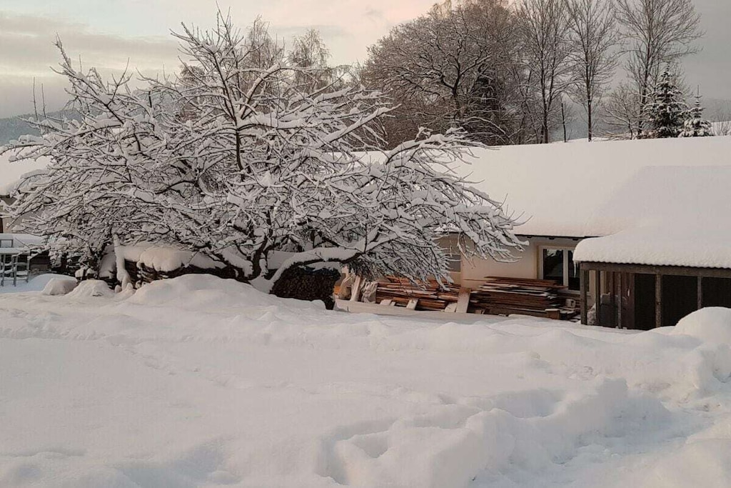 Attic: (Living room(TV), Kitchen(dining table, stove, hob, electric kettle, toaster, coffee machine, oven, dishwasher, fridge), bedroom(double bed), bedroom(double bed), bathroom(shower, toilet, hairdryer, Towels incl.))\n\ngrill, garden, garden furniture