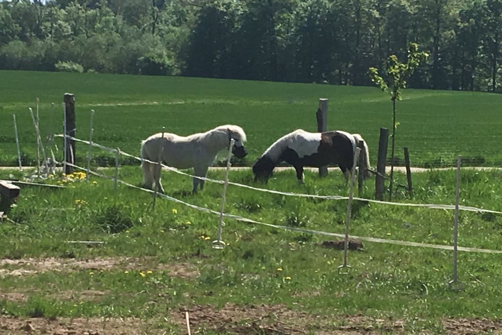 253649 - Niet-getagd
