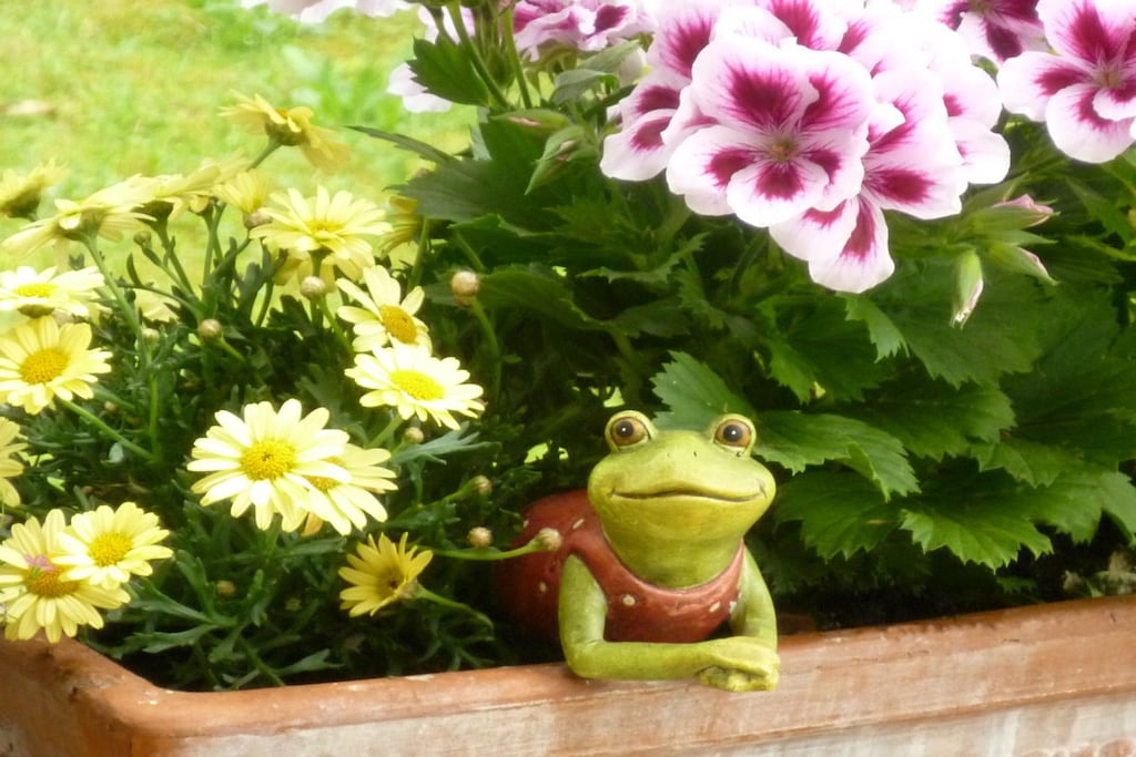 Basler - Het kleine vakantiegeluk