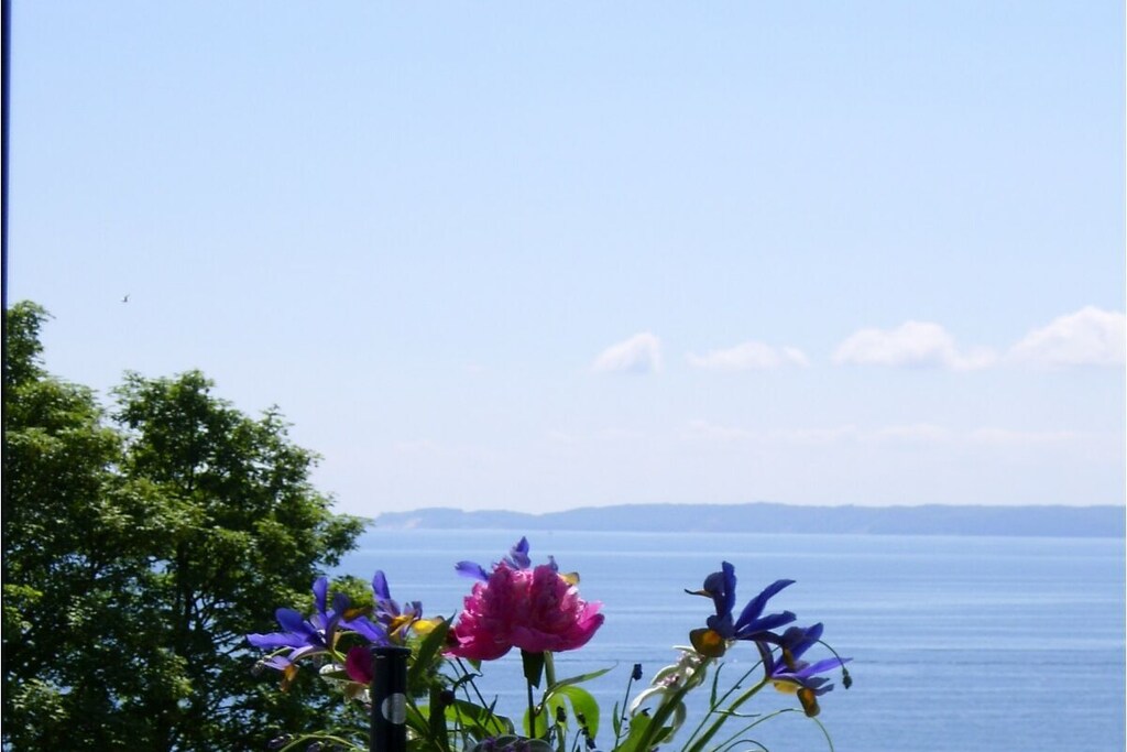 3-room apartment Meerblick 2 - Bella Vista in the old town of Sassnitz! Uniquely beautiful location with a wonderful panoramic view of the Baltic Sea!