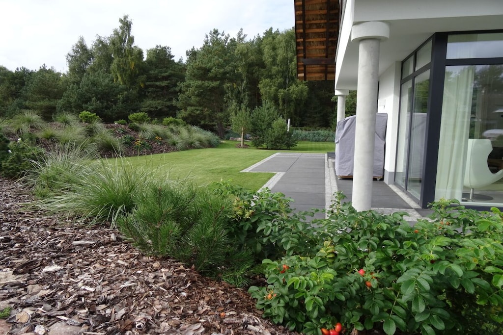 61005 - Niet-getagd