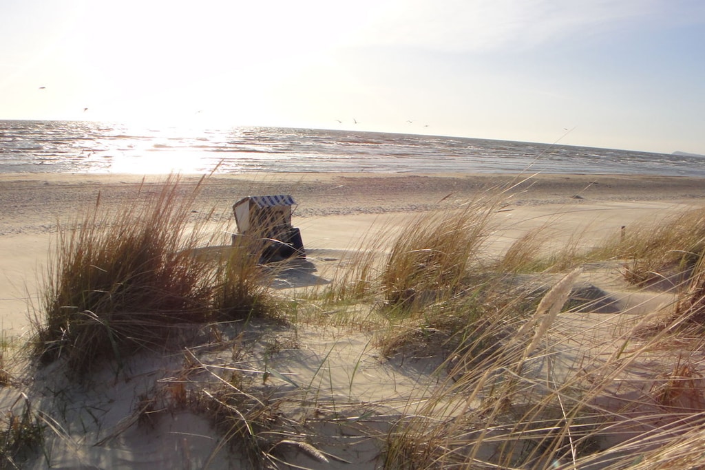 61005 - Niet-getagd