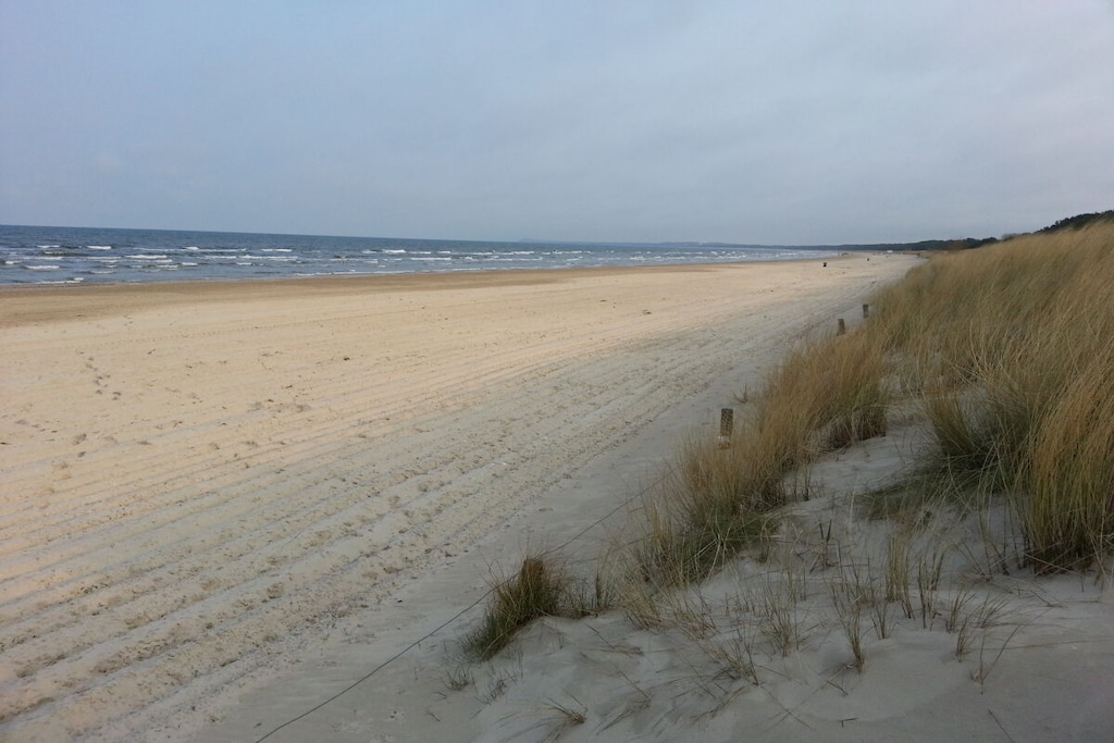 61005 - Niet-getagd