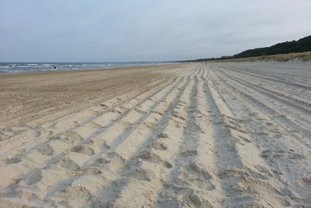 61005 - Niet-getagd