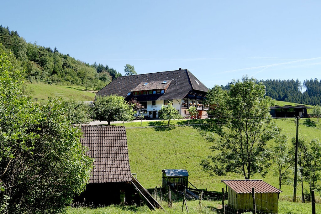 Rinkenbachhof Modern retreat