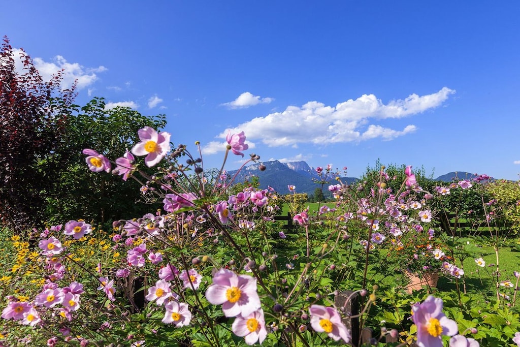 Hahn -Kierngaßhäusl-