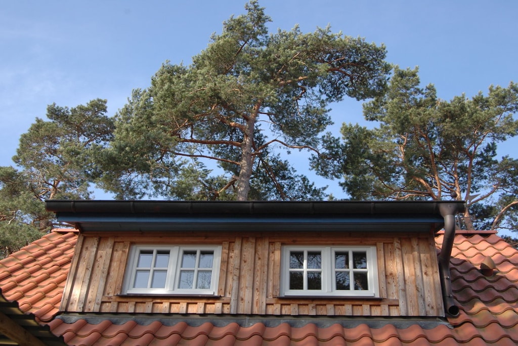Small but nice, quiet and just a few steps away from the rustic Darßwald - !!! Storm week 7 nights from 599 euros. !!!