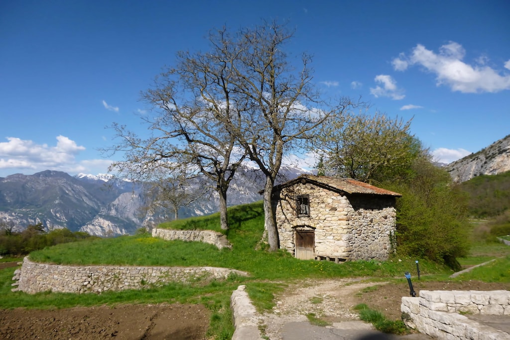 Picture of property.name