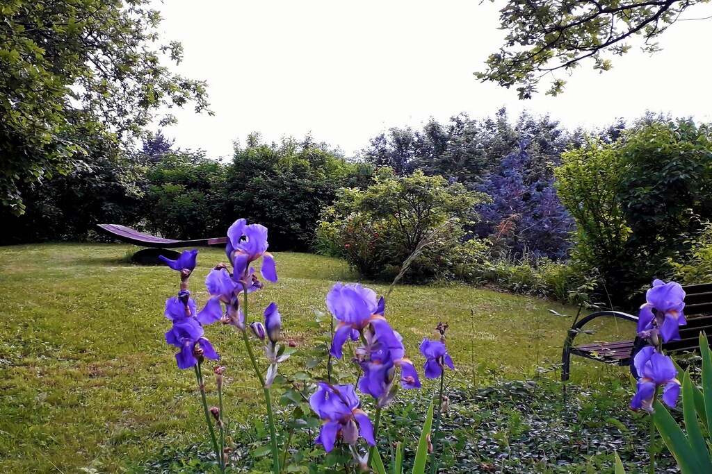 Picture of property.name