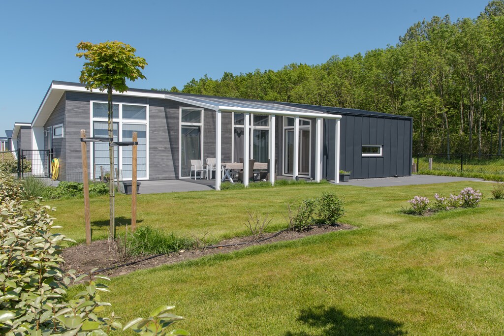 House image big