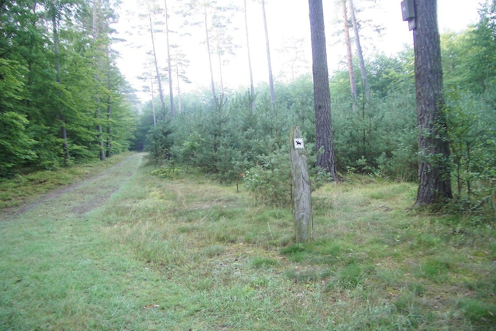 42578 - Niet-getagd