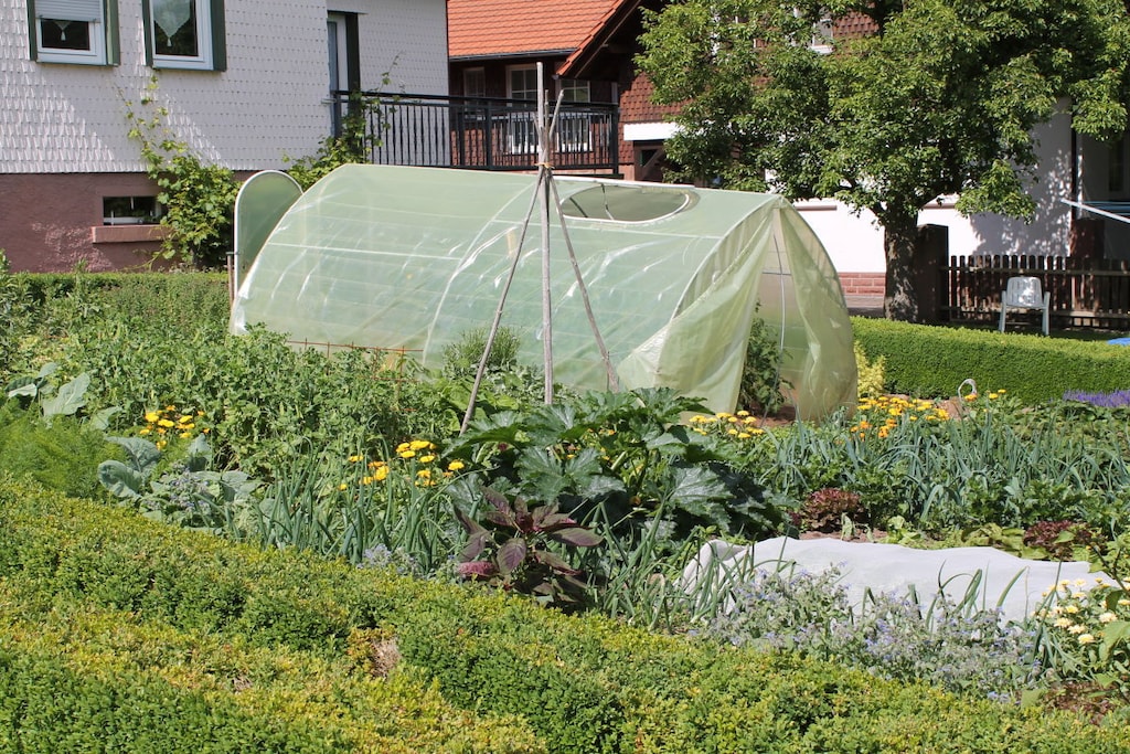 Garden Summer