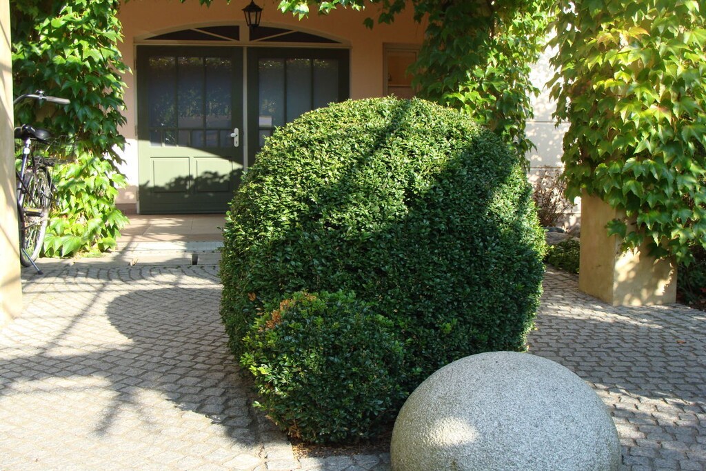 Residence Seestern, apartment 04