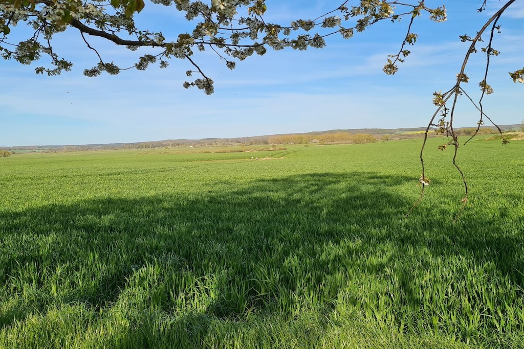 Germany