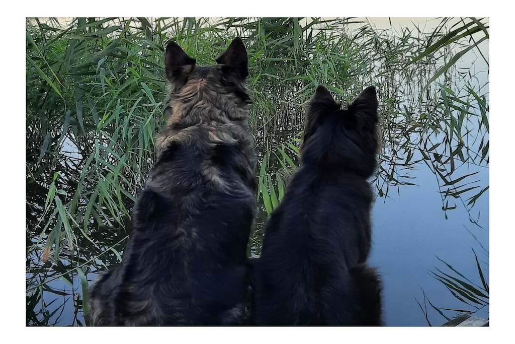 423026-Nicht zugeordnet